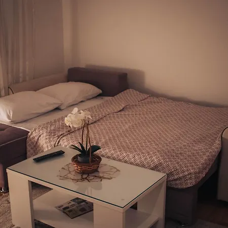 Apartamento Tulip *