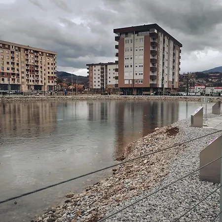 Tulip * Sarajevo