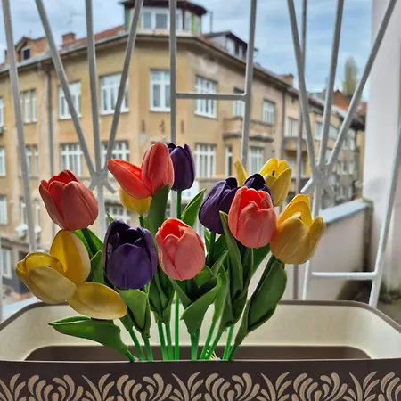 Tulip